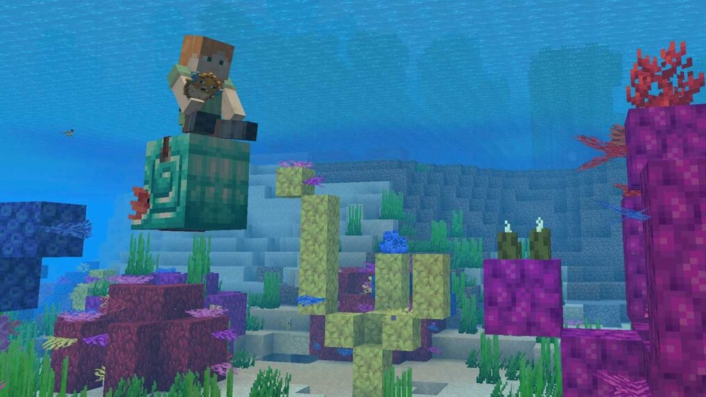 Игрок верхом на наутилусе держит иглобрюха в Minecraft
